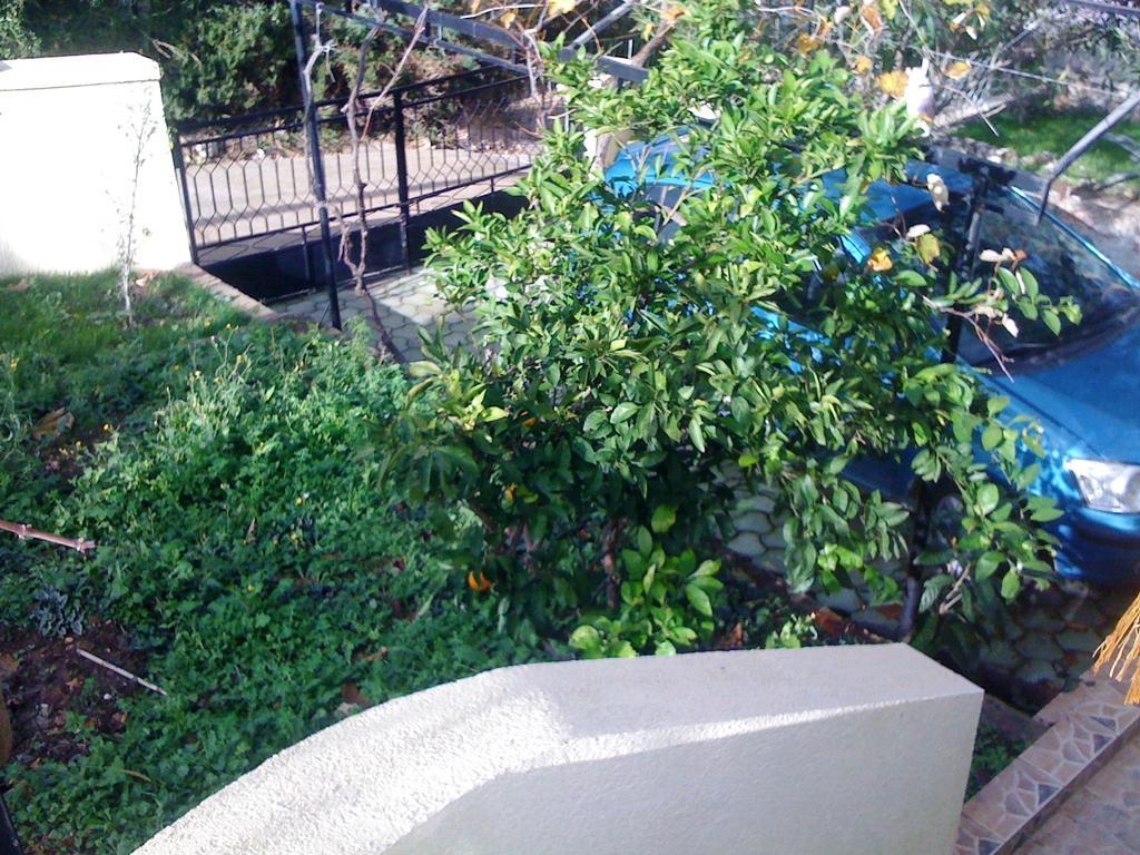 דוברה וודה Holiday Home Mikki מראה חיצוני תמונה